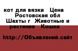 кот для вязки › Цена ­ 1 - Ростовская обл., Шахты г. Животные и растения » Кошки   